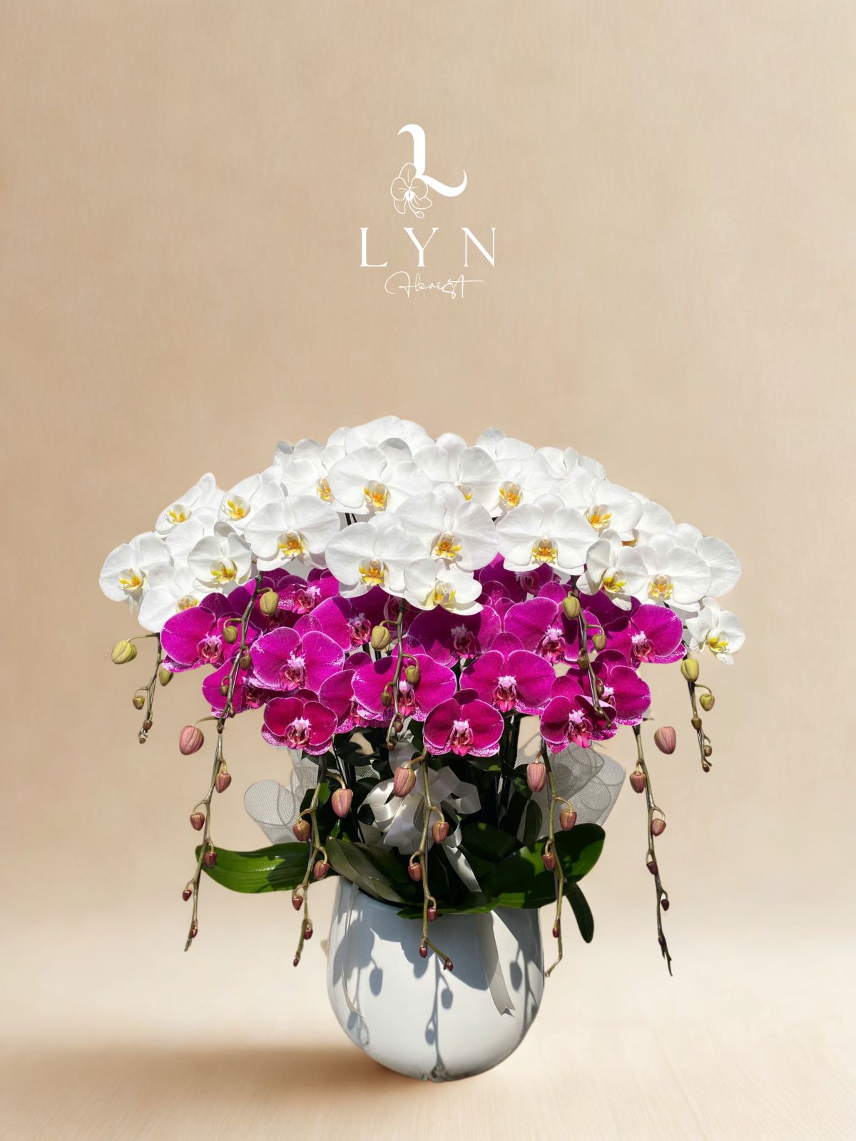 Chậu Hoa Lan Tím 0X1460 mix Lan Trắng V3-1V